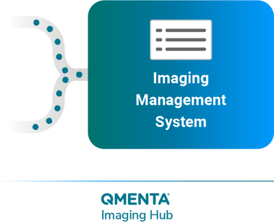 website-management-system-qmenta-1