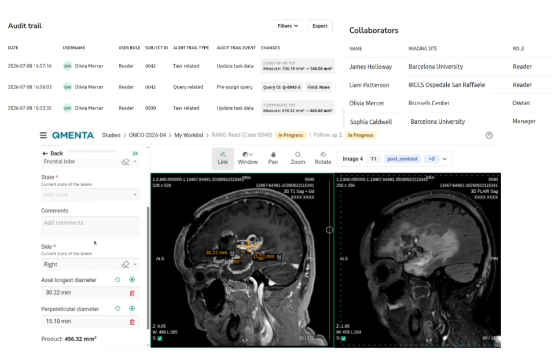 Browser viewer with role-based panel and audit log image<