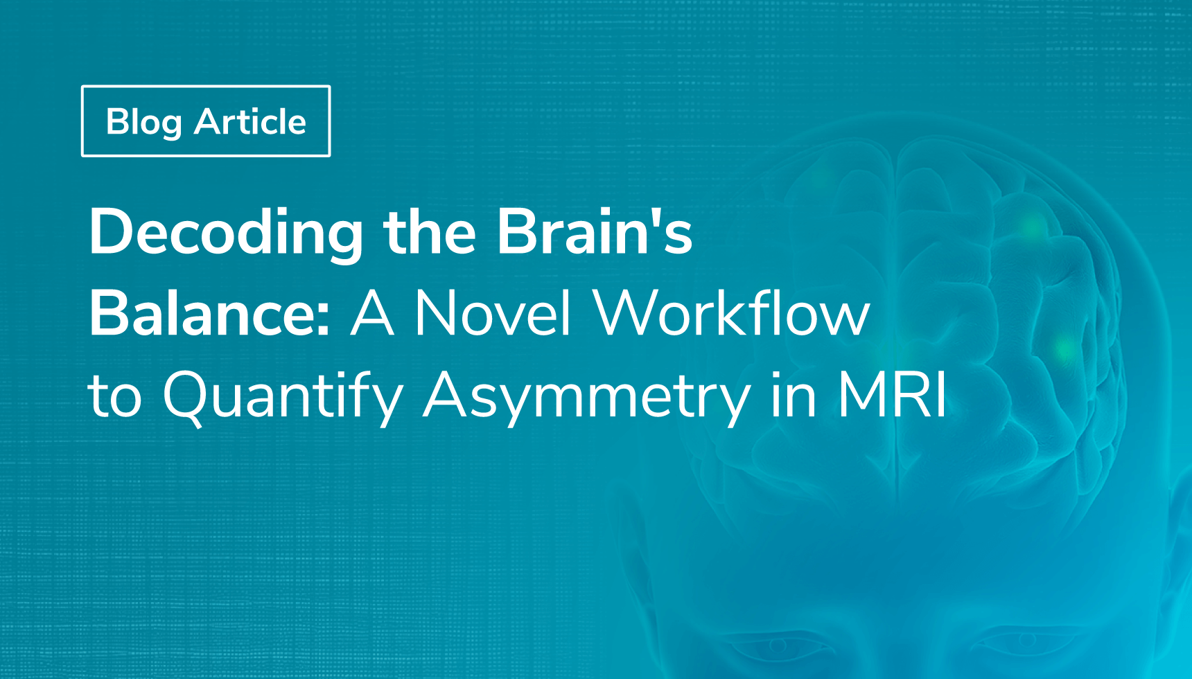 Decoding the Brain's Balance: A Novel Workflow to Quantify Asymmetry in MRI