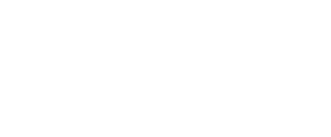 Logo_NeuroData_White_1104x458