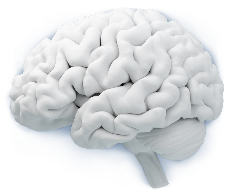 Neuroimaging AI analysis software